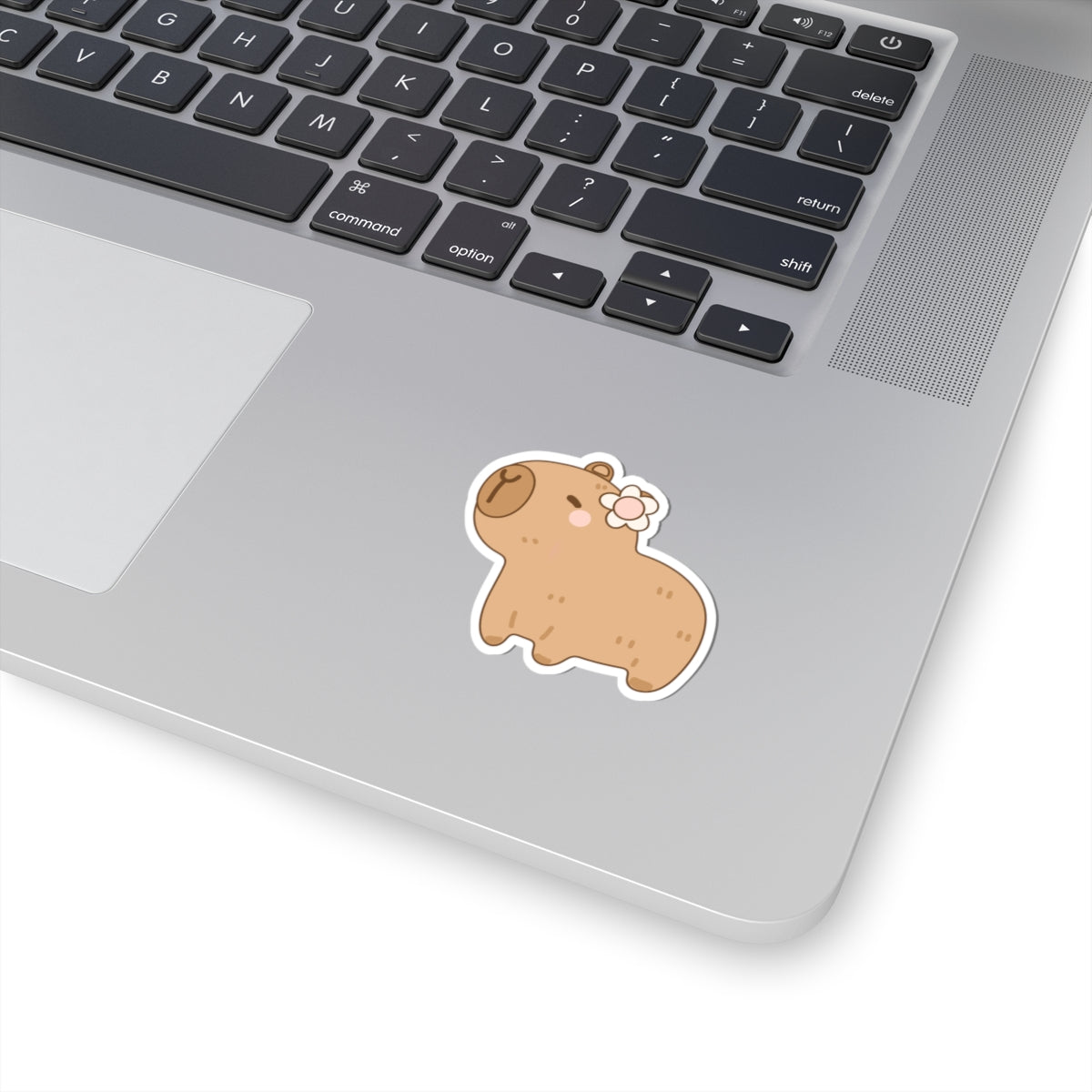 Cute Capybara Sticker