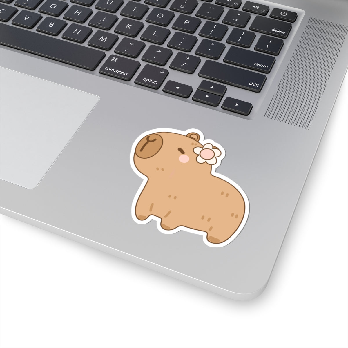 Cute Capybara Sticker